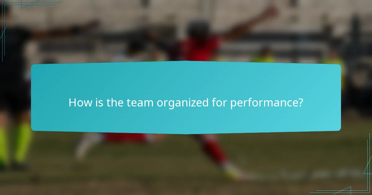 How is the team organized for performance?