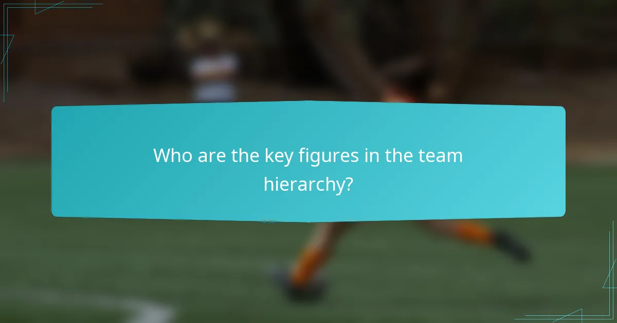 Who are the key figures in the team hierarchy?